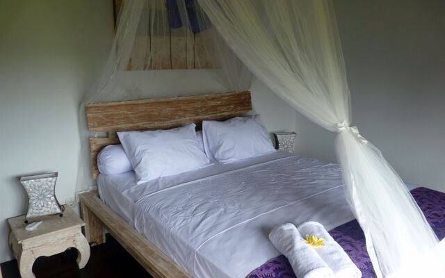 United Colors of Bali