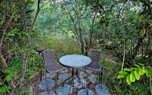 Valley studio - Relaxing in Paradise