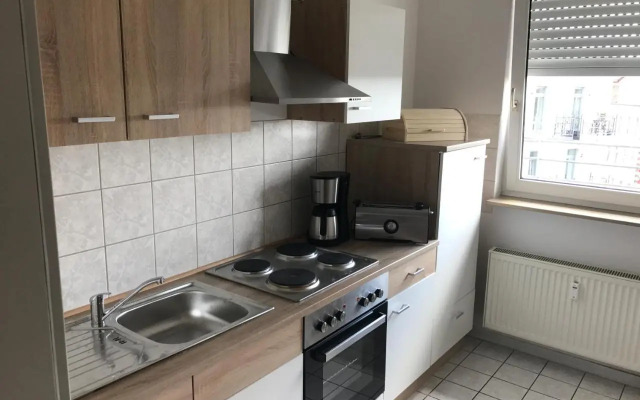 Exklusive Wohnung mit Dachterrasse in Schleußig