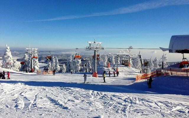Snug Apartment in Jachymov near Ski Area