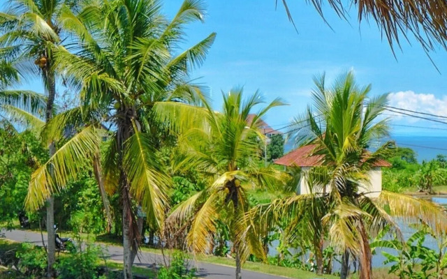 The Swell - Hostel - Adults Only