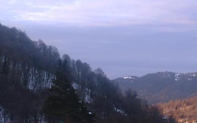 Orbi Palace Bakuriani 213