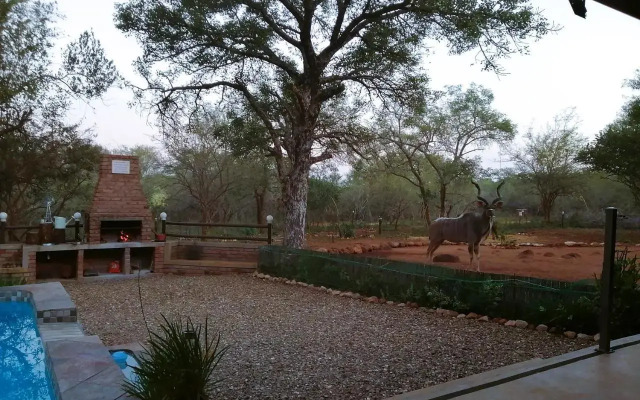 Flight of the Eagle @ Kruger