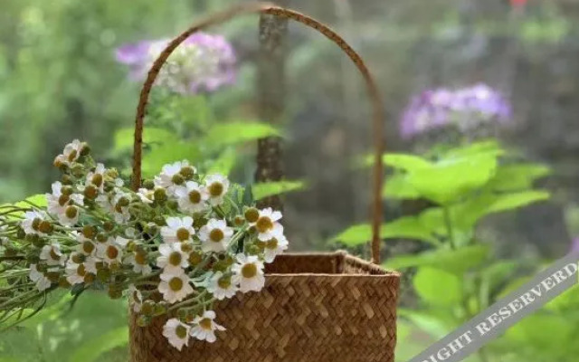 Moganshan Yun Ting ▪ Chinese style aesthetic courtyard homestay