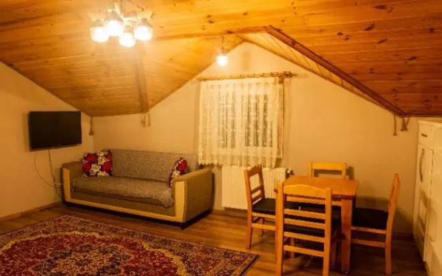 Petra Suit Bungalov Villa