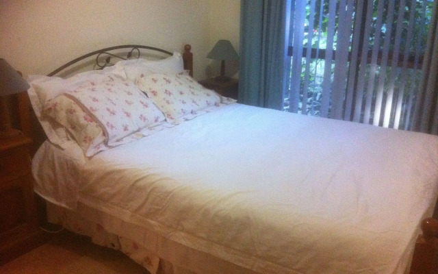 Blueberry B & B