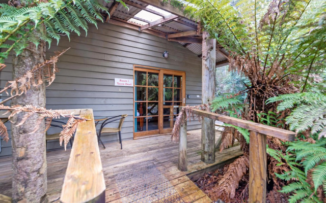 Cradle Forest Inn