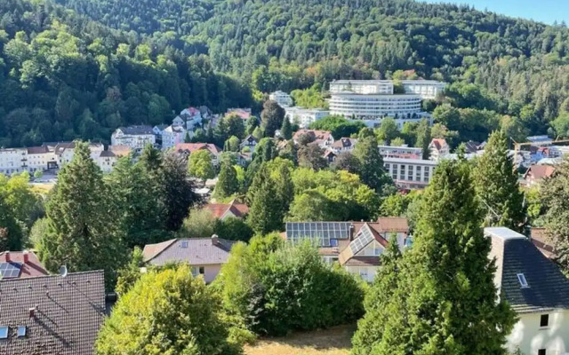 Compact Apartment in Bad Herrenalb With Forest Views