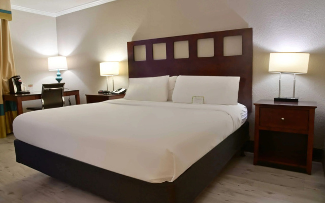 Wyndham Garden Summerville