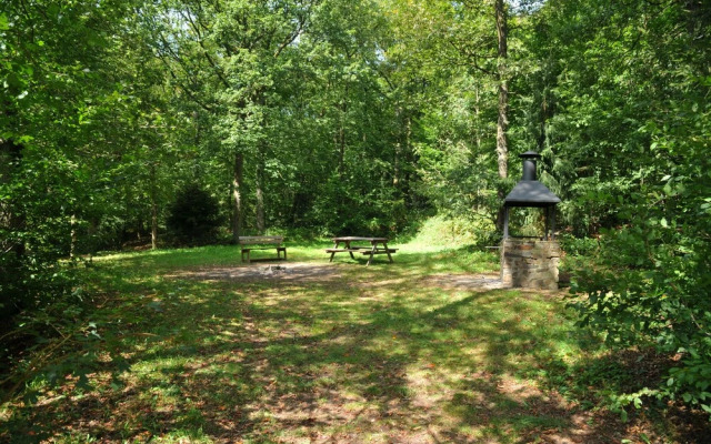 Bunderbos