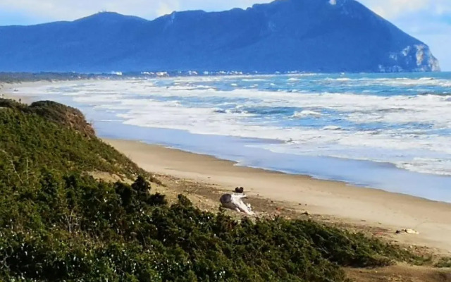 Appartamento in Villa con giardino vicino al mare