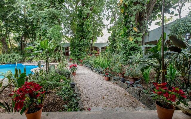Casa Quetzal Hotel Boutique