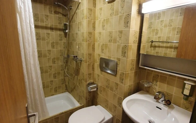 Central Beauty Scenery Apartment