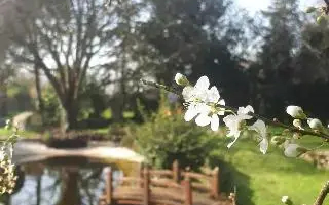 Chambres dhôtes La Frise