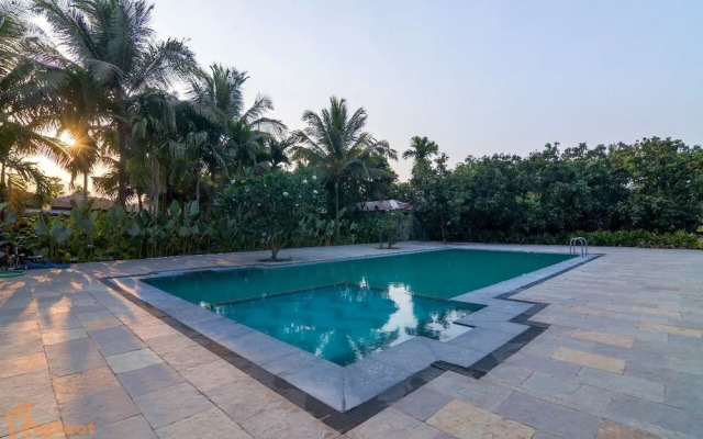 Jomo Resort