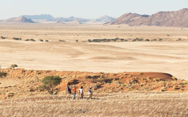 The Desert Grace