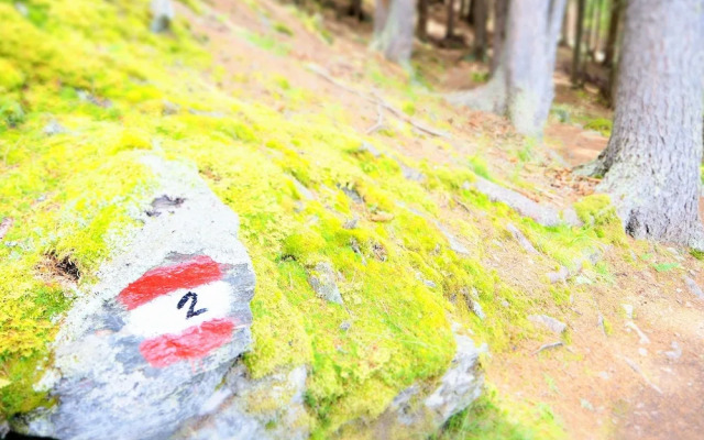 Pension Feldgärtenhof