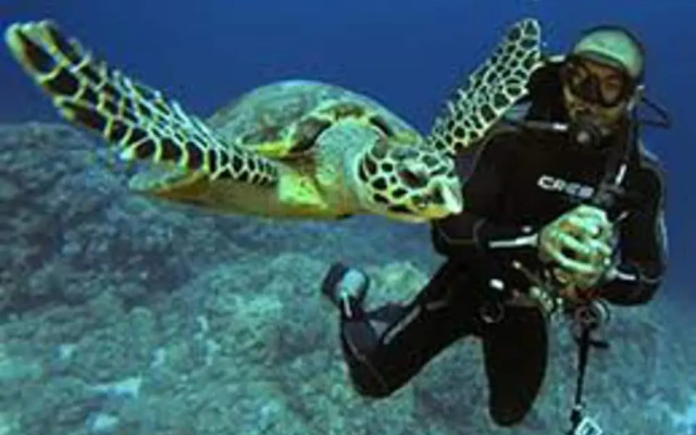 Beautiful 2bed Appt in Hurghada, Short & Long Term