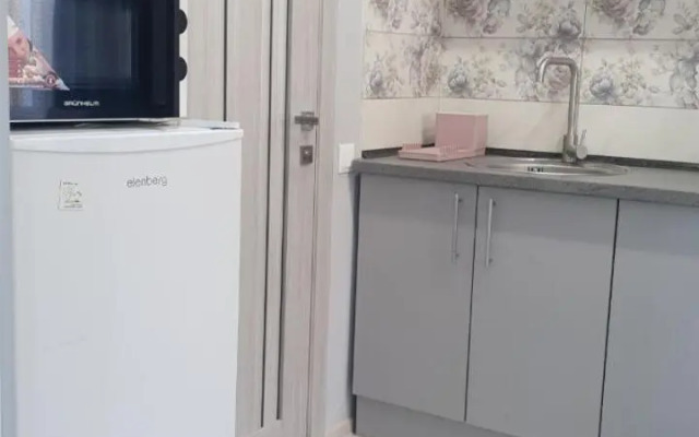 Apartment in Truskavets