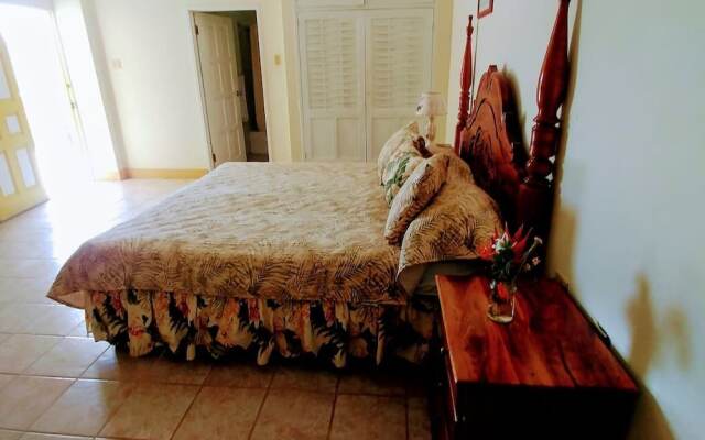 The Port Antonio Inn