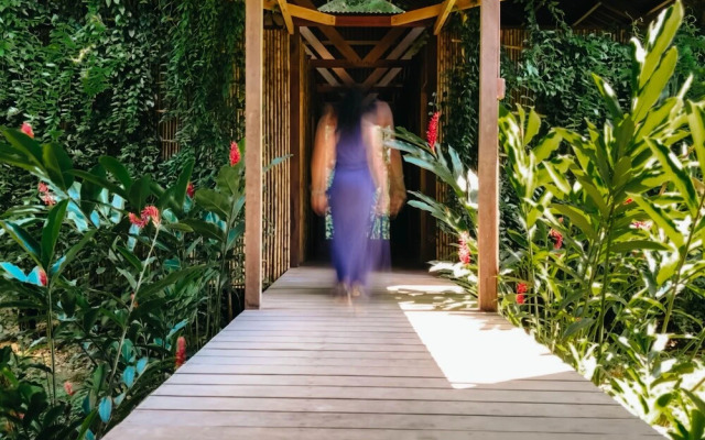 Casa Amazonas