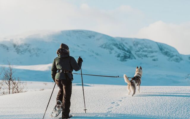 Highland Lodge Fjellandsby