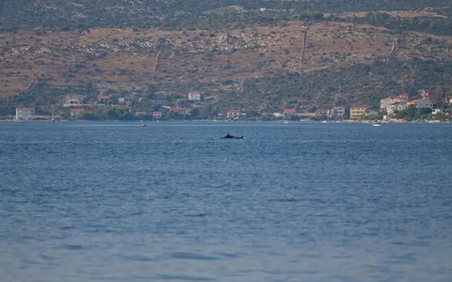 Vik - 60 m From the sea - A2