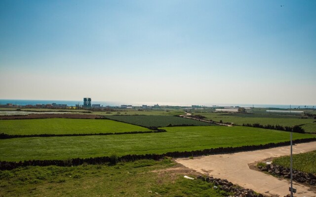 Stay In Jeju
