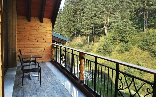 Hot Springs Medical and Spa Hotel