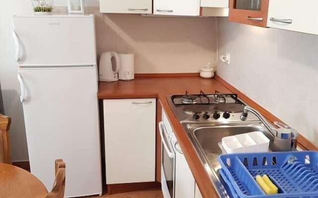 Nicely decorated apartment Neda