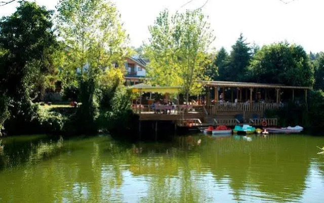 Agva Tree Tops Park Hotel