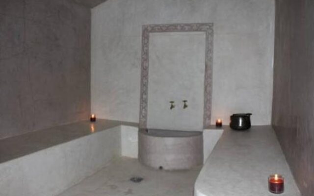 Riad Janoub