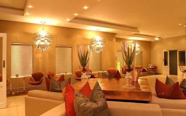 The Aviator OR Tambo