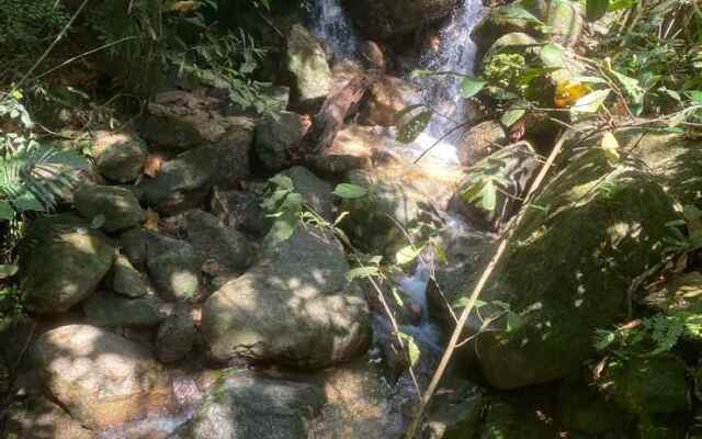 Gibbon Retreat Bentong