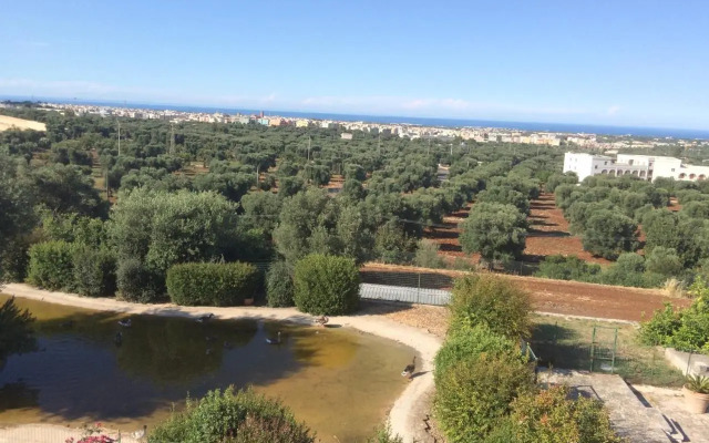 Appartamento Giardinelli Giulia