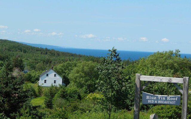 Blue Tin Roof B & B