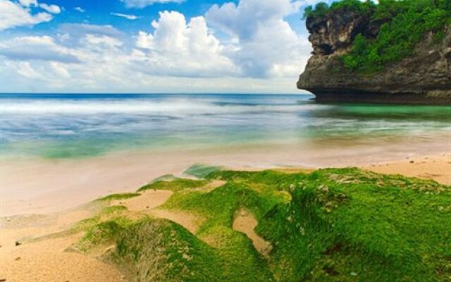 Flower Bud Bungalows