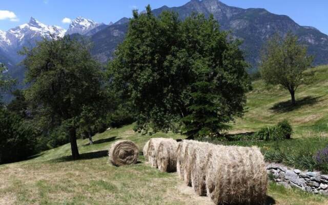 La Majón dé Fohtèn