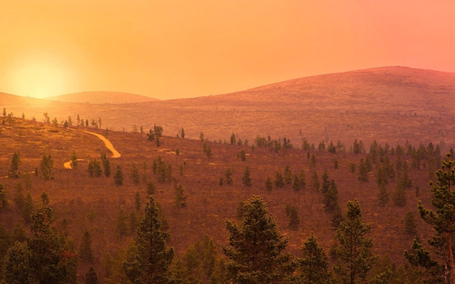 Wilderness Hotel Kieppi