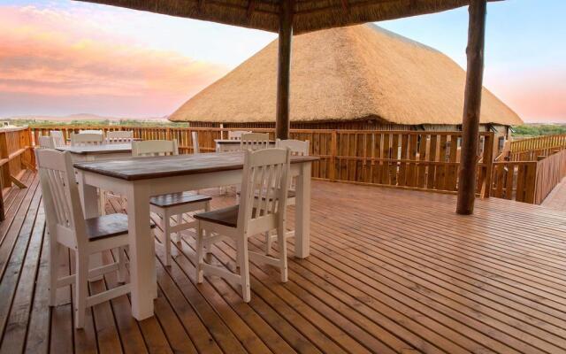 Kalahari Lion's Rest
