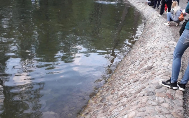 Apartment 30 m2 on Sergei Esenin 11