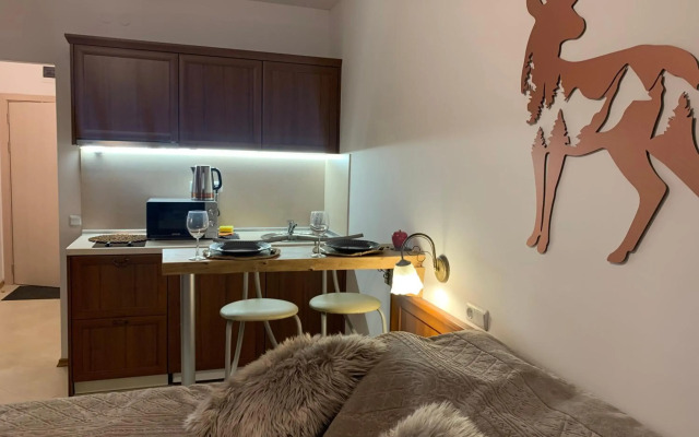 Bansko Ski To Door Studio De Luxe