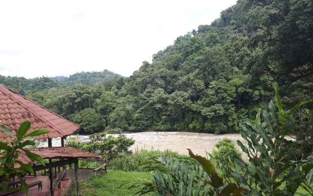 Finca Tres Equis - Farm and Forest