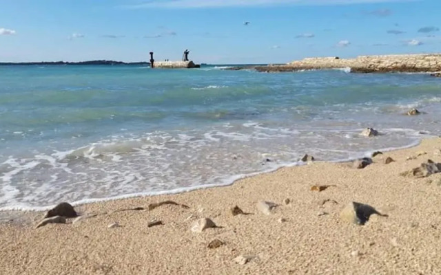 Apartment Olive Garden