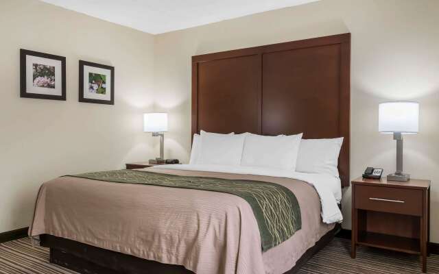 Comfort Inn - Pocono Mountains