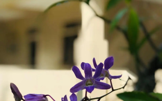 Nilupul Gardens