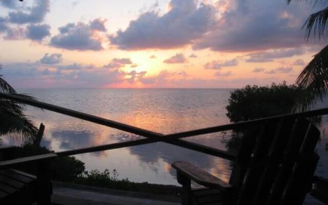 coconut grove