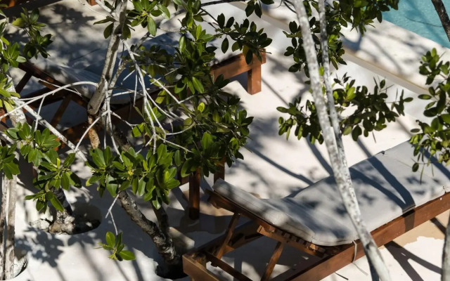 Sanyama Holbox