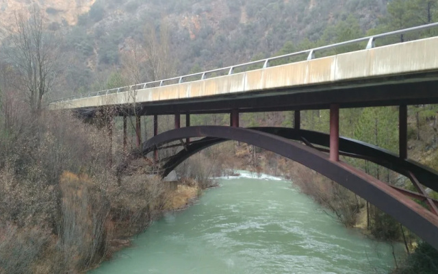 Boyal Del Alto Tajo - La Carrera