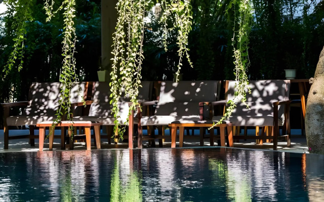 Mulberry Collection Silk Eco